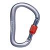 Black Diamond Rocklock Screwgate Kletterkarabiner