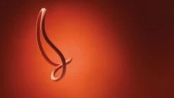 Petzl Volta Einfachseil [9,2mm] -Draussen Geschäft 461128304 640 1