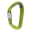Edelrid Bulletproof Screw Sicherungskarabiner -Draussen Geschäft 73724 138 kopie 1 1