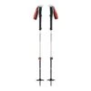 Black Diamond Expedition 2 Pro Poles Skitourenstöcke