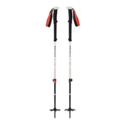 Black Diamond Expedition 2 Pro Poles Skitourenstöcke