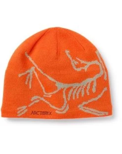 Arc'teryx Bird Head Toque Mütze