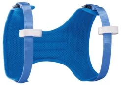 Petzl Body Brustgurt Kinder -Draussen Geschäft c018ba00 body lowres