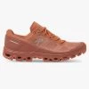 On Cloudventure Trairunningschuh Damen -Draussen Geschäft cloudventure 2 fw20 sandstone orange w g1