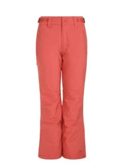 Protest CARMACKS Snowpants Damen